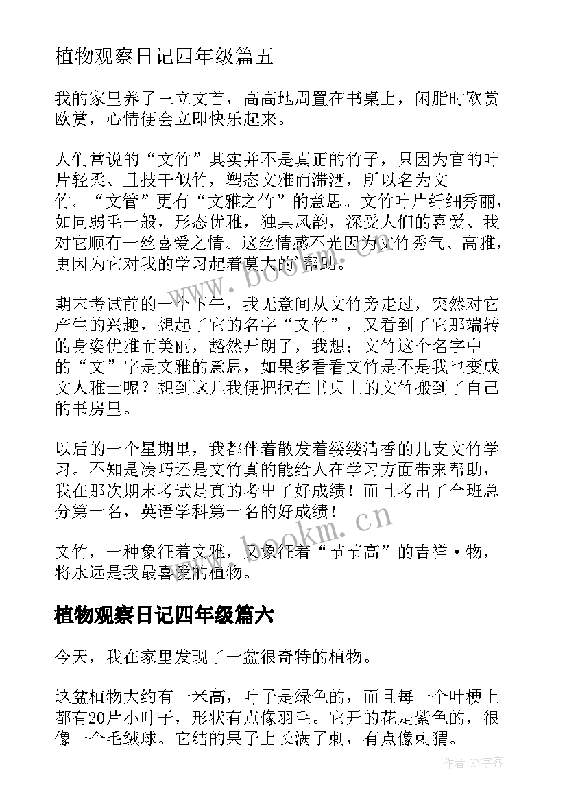 植物观察日记四年级 四年级植物观察日记(汇总17篇)