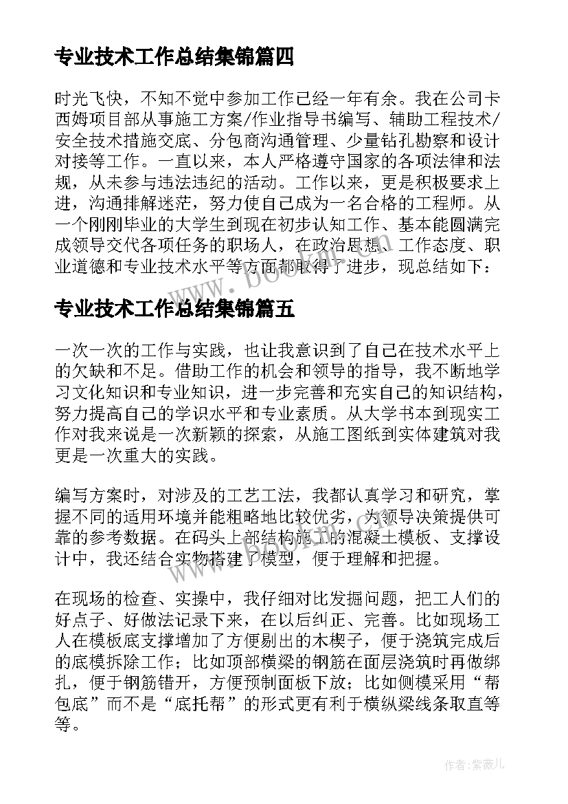 专业技术工作总结集锦(优质8篇)