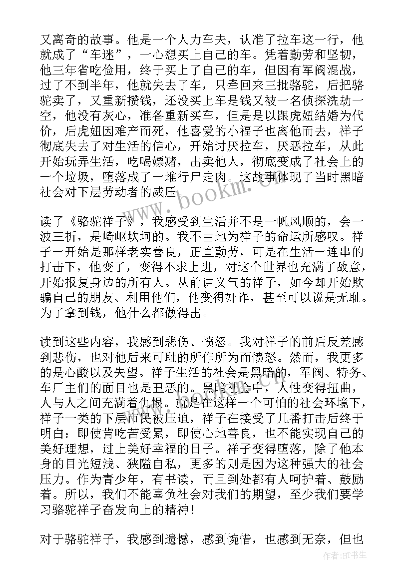 2023年骆驼祥子读书笔记读书感悟 骆驼祥子读书笔记摘抄及感悟(模板10篇)