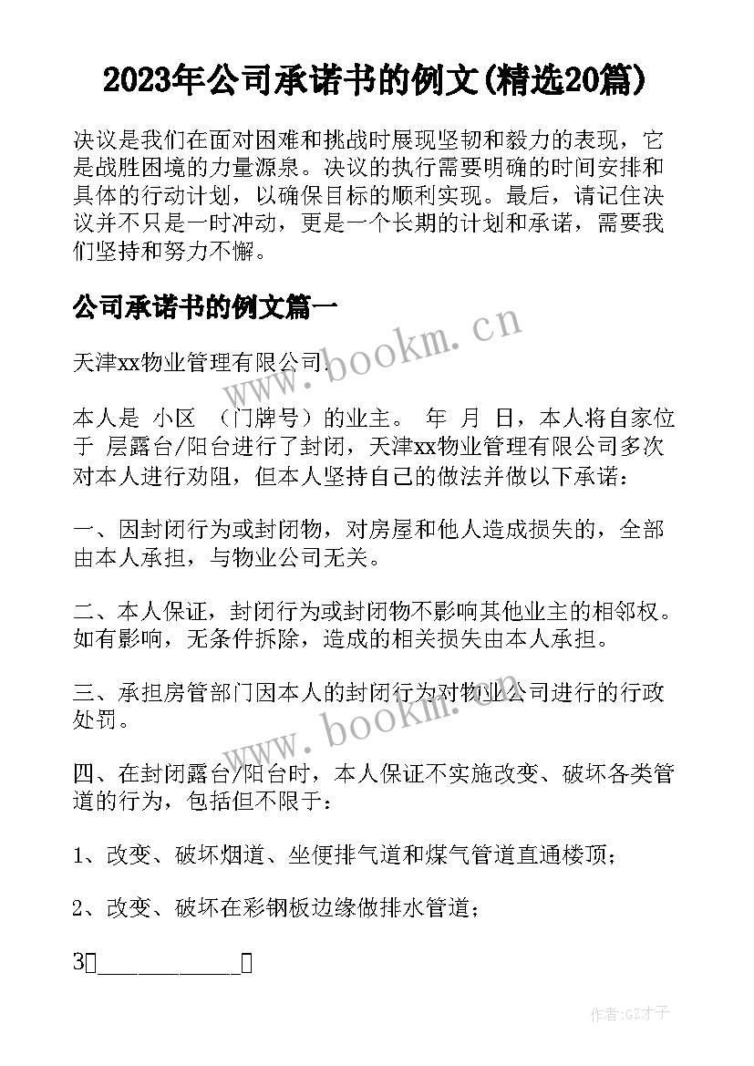 2023年公司承诺书的例文(精选20篇)