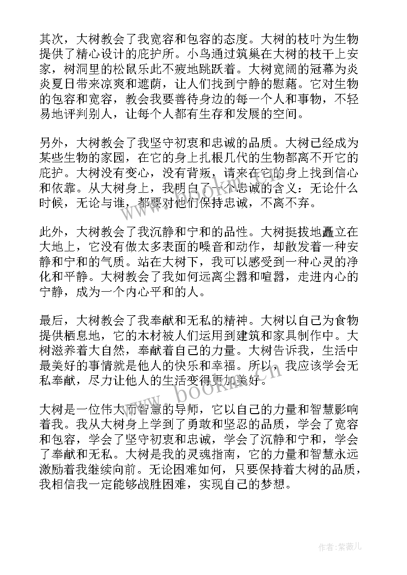 大树下三年级 心得体会大树(汇总12篇)