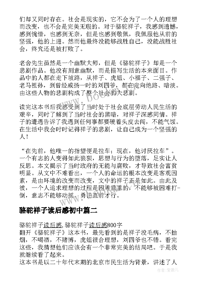 骆驼祥子读后感初中(通用14篇)