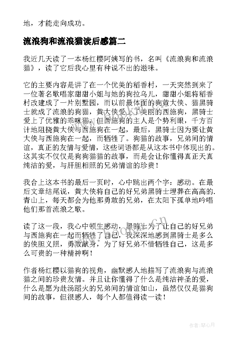 流浪狗和流浪猫读后感(大全14篇)