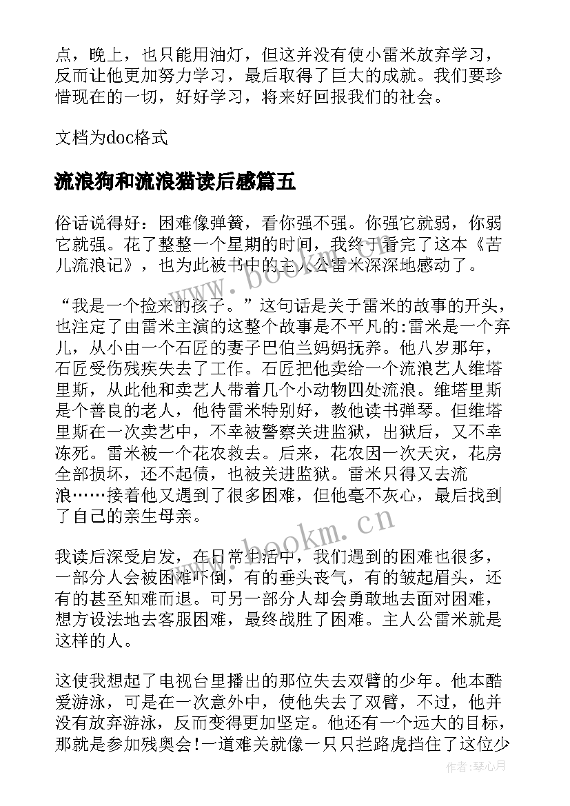 流浪狗和流浪猫读后感(大全14篇)