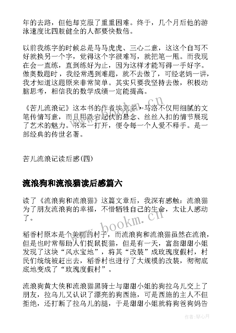 流浪狗和流浪猫读后感(大全14篇)