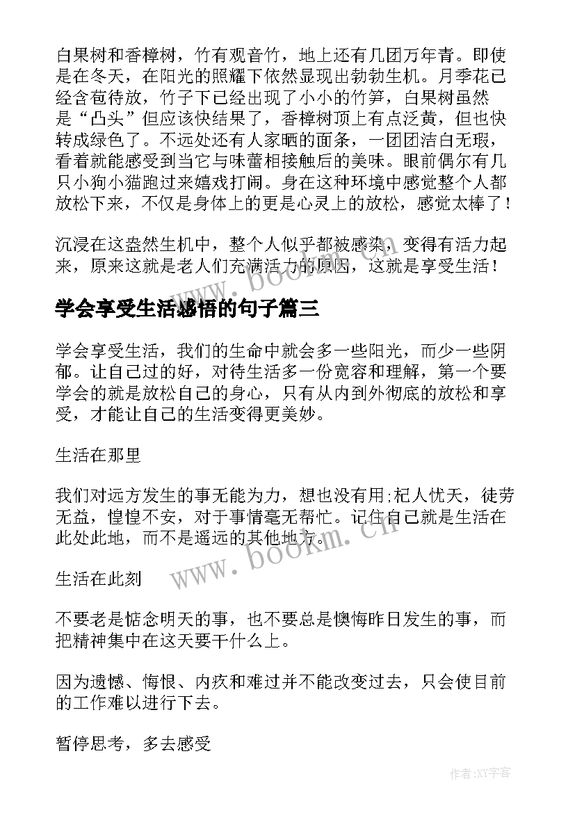 2023年学会享受生活感悟的句子(大全8篇)