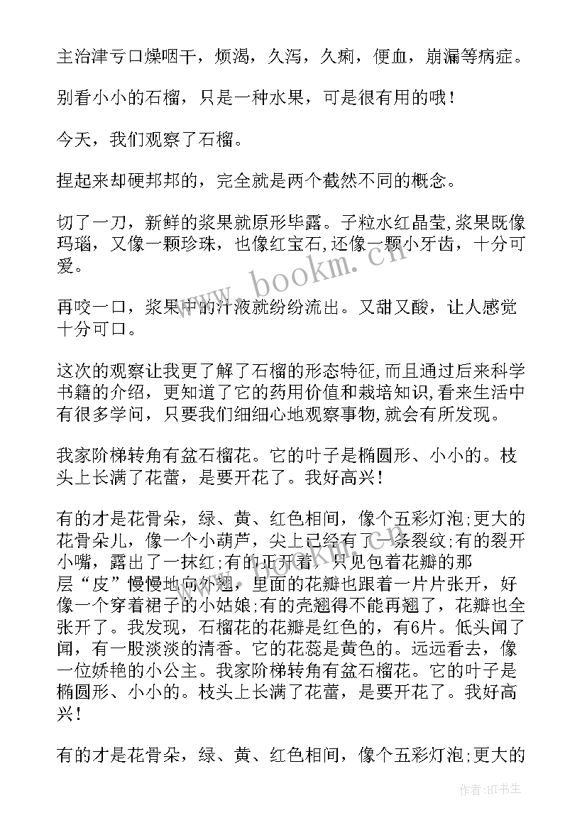 2023年石榴树的日记 石榴花观察日记(精选8篇)