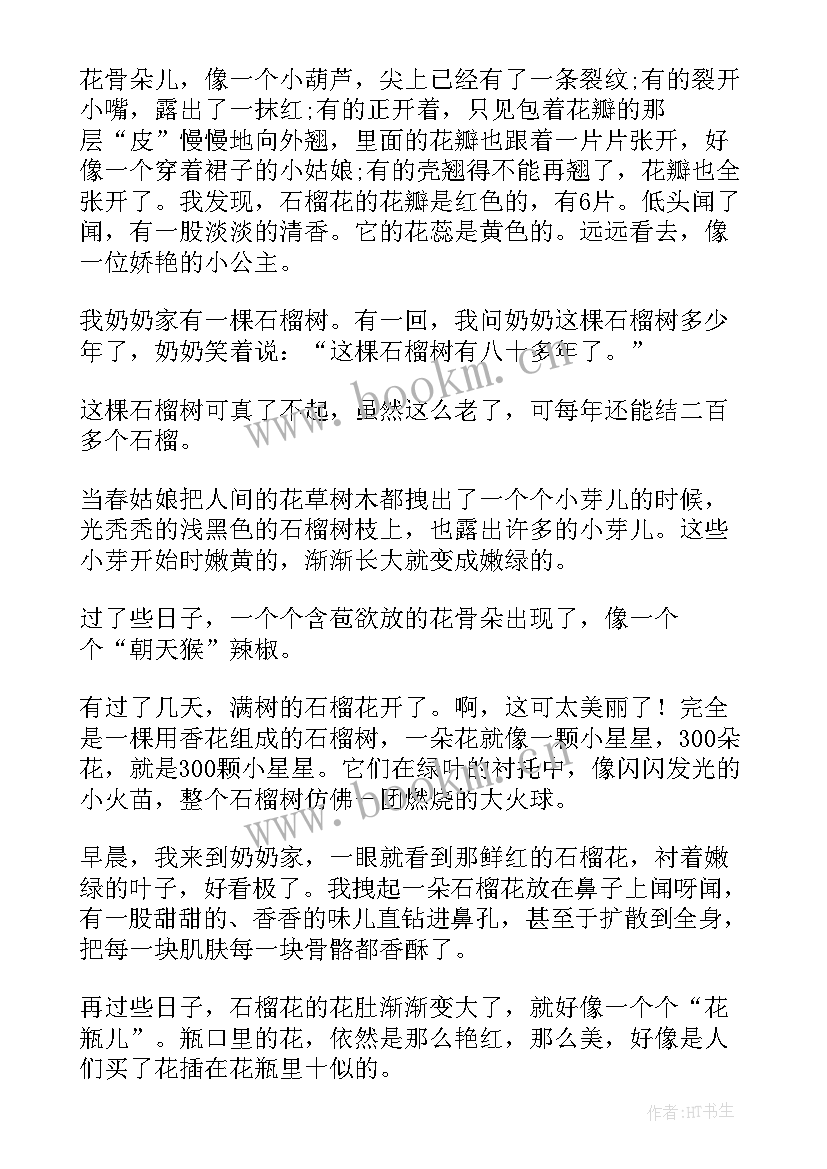 2023年石榴树的日记 石榴花观察日记(精选8篇)