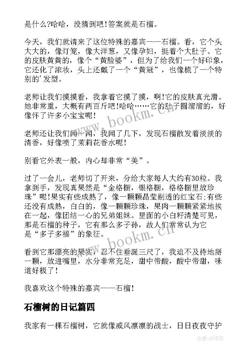 2023年石榴树的日记 石榴花观察日记(精选8篇)