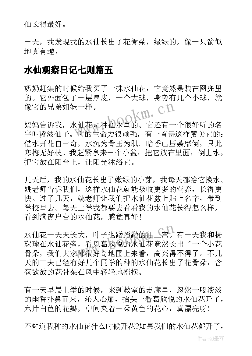 水仙观察日记七则 水仙花观察日记(优质18篇)