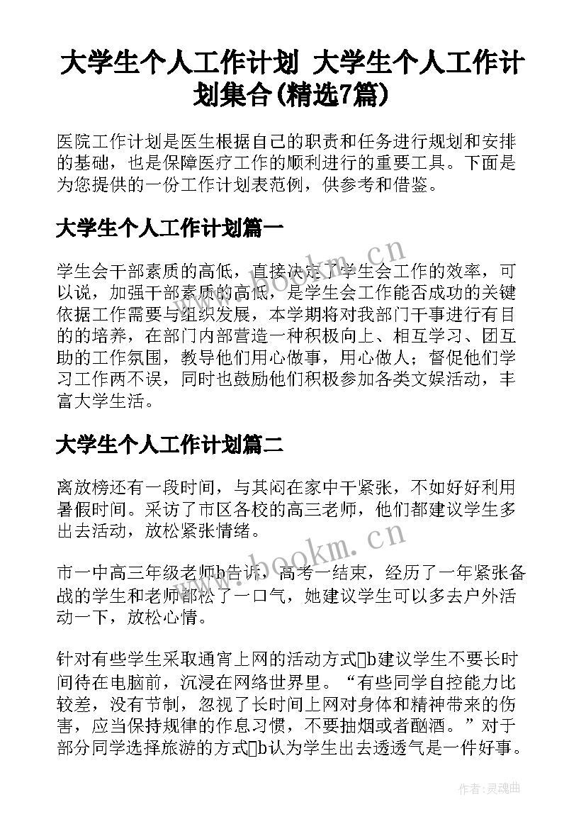 大学生个人工作计划 大学生个人工作计划集合(精选7篇)