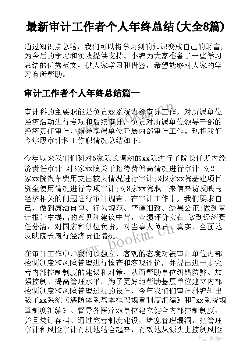 最新审计工作者个人年终总结(大全8篇)