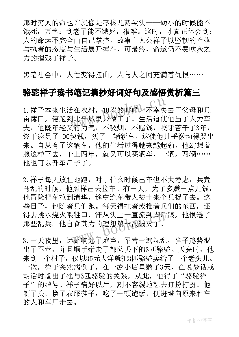 2023年骆驼祥子读书笔记摘抄好词好句及感悟赏析 骆驼祥子读书笔记(大全13篇)