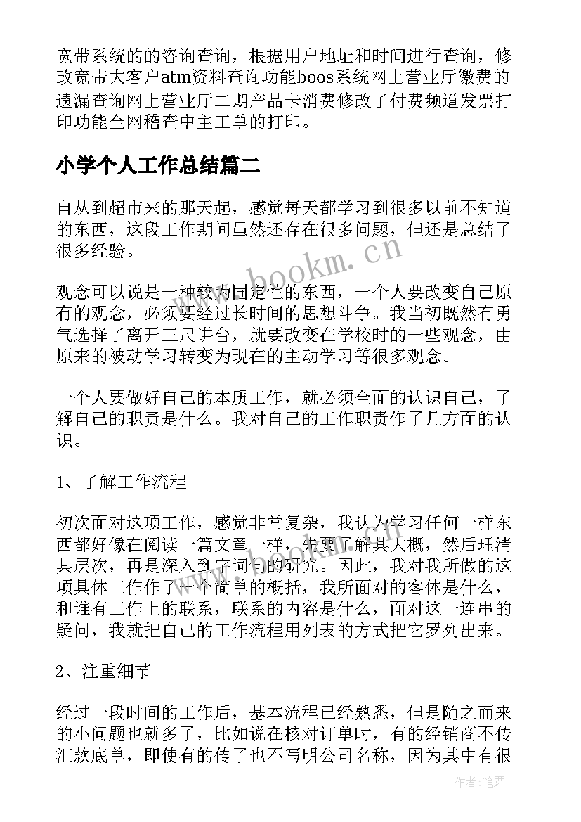 小学个人工作总结(大全11篇)