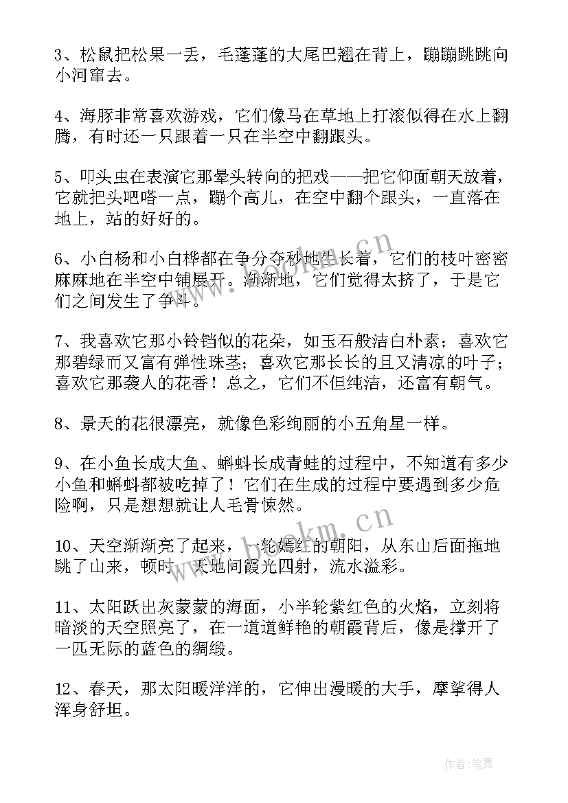 2023年飞鸟集好句 金锁记读书笔记摘抄好词好句及感悟赏析(模板11篇)