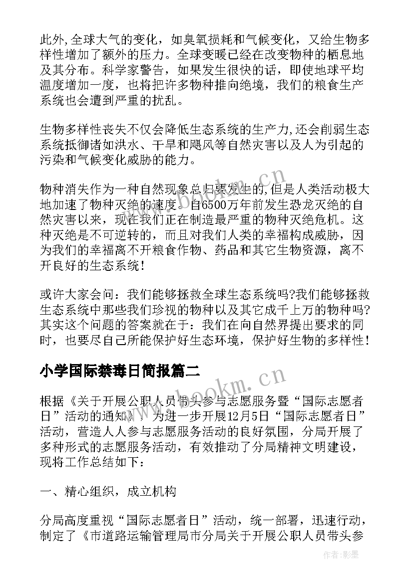 最新小学国际禁毒日简报 小学生国际家庭日国旗下讲话稿(通用8篇)