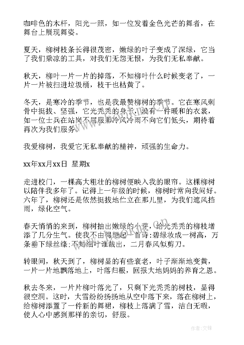 柳树的日记 初三春天的柳树观察日记(汇总8篇)