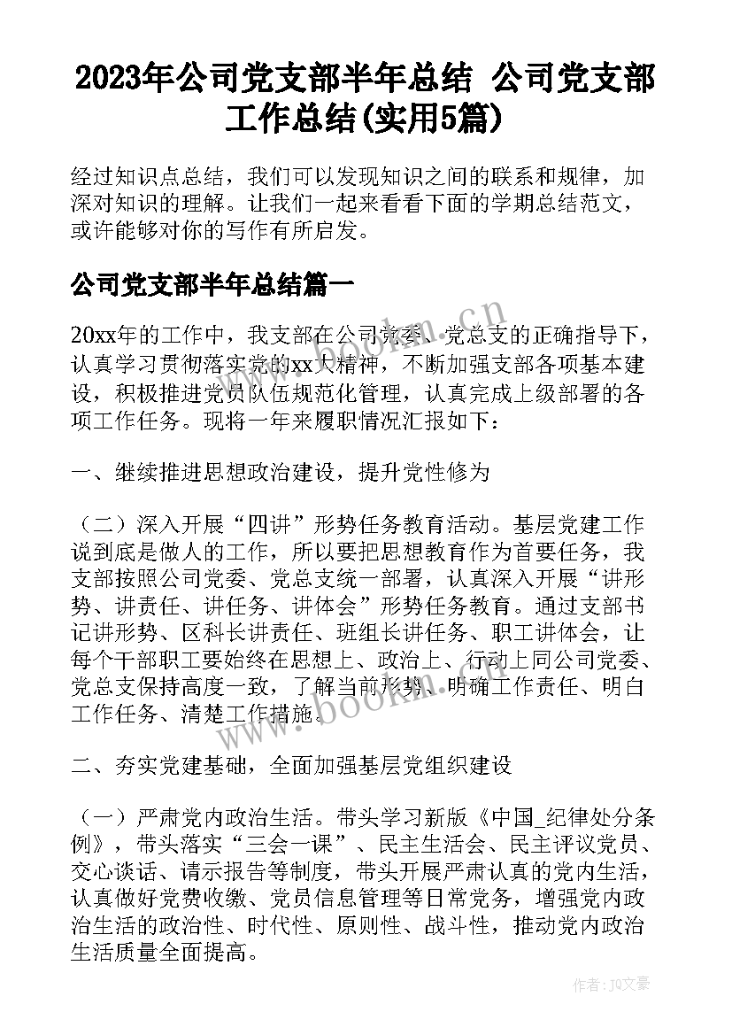 2023年公司党支部半年总结 公司党支部工作总结(实用5篇)