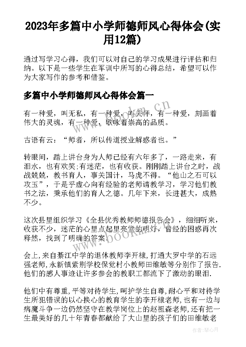 2023年多篇中小学师德师风心得体会(实用12篇)