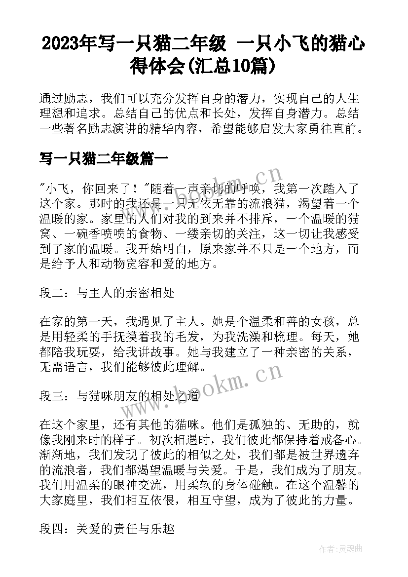 2023年写一只猫二年级 一只小飞的猫心得体会(汇总10篇)