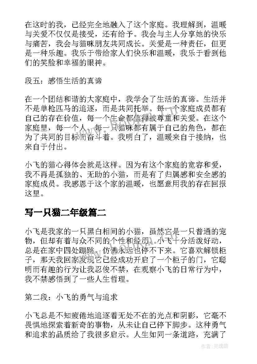 2023年写一只猫二年级 一只小飞的猫心得体会(汇总10篇)