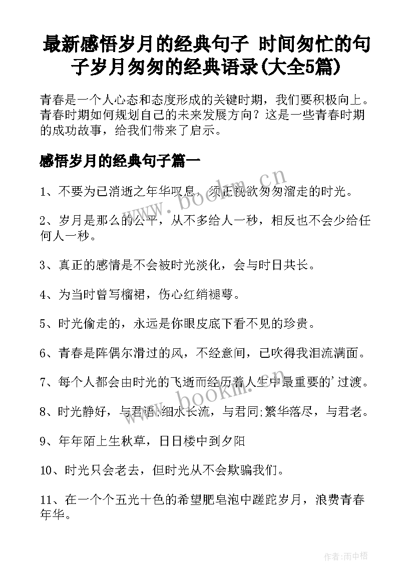 最新感悟岁月的经典句子 时间匆忙的句子岁月匆匆的经典语录(大全5篇)