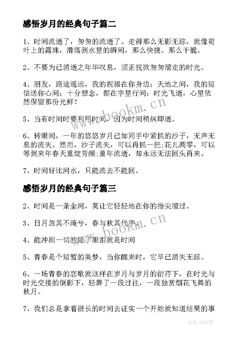 最新感悟岁月的经典句子 时间匆忙的句子岁月匆匆的经典语录(大全5篇)