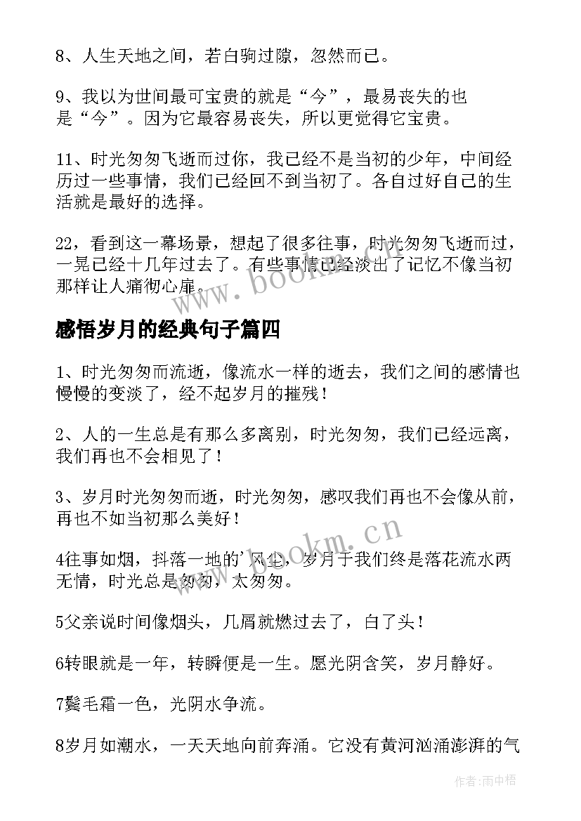 最新感悟岁月的经典句子 时间匆忙的句子岁月匆匆的经典语录(大全5篇)