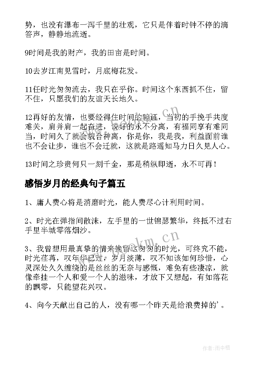 最新感悟岁月的经典句子 时间匆忙的句子岁月匆匆的经典语录(大全5篇)