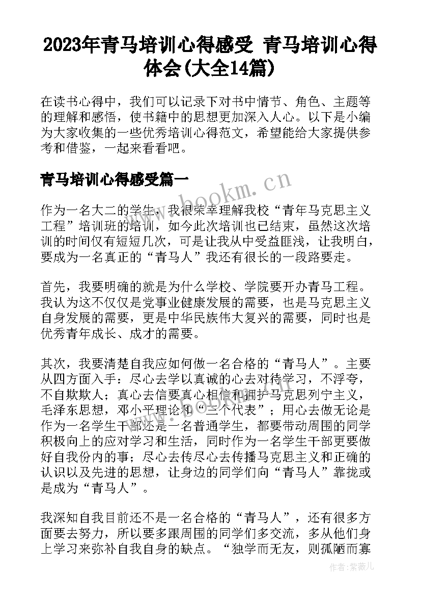 2023年青马培训心得感受 青马培训心得体会(大全14篇)