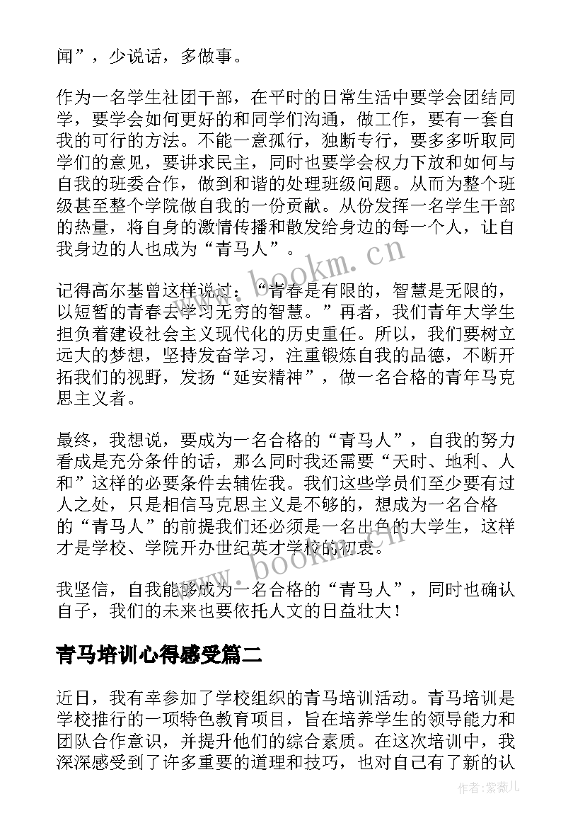 2023年青马培训心得感受 青马培训心得体会(大全14篇)