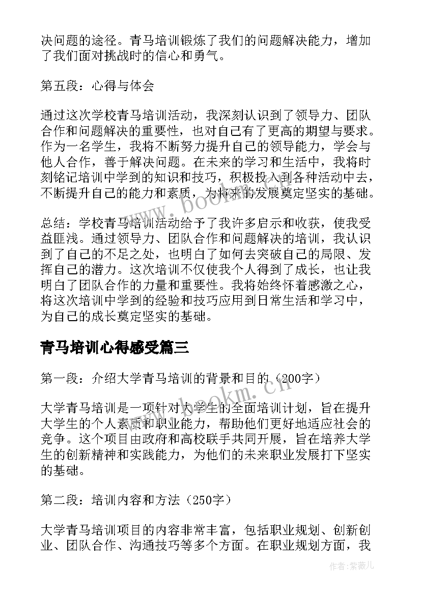 2023年青马培训心得感受 青马培训心得体会(大全14篇)