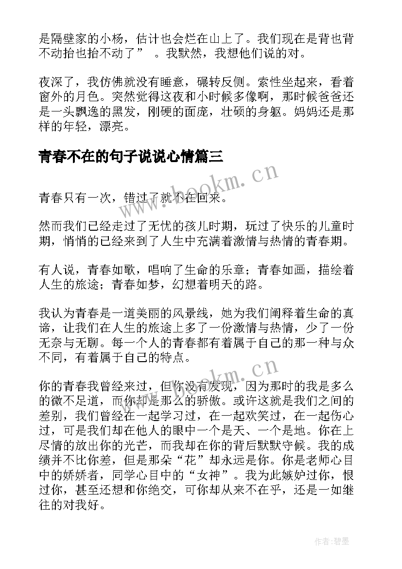 2023年青春不在的句子说说心情(模板8篇)