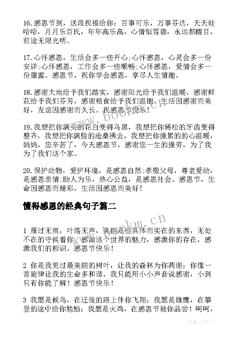 懂得感恩的经典句子(大全17篇)