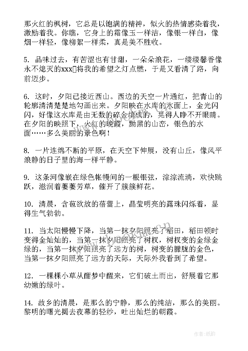 最新清晨的句子短句 清晨的太阳摘抄句子句(大全8篇)