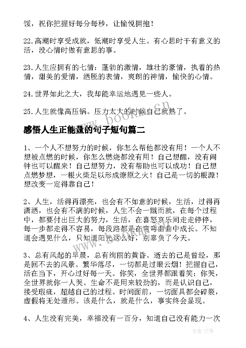 最新感悟人生正能量的句子短句(优质10篇)