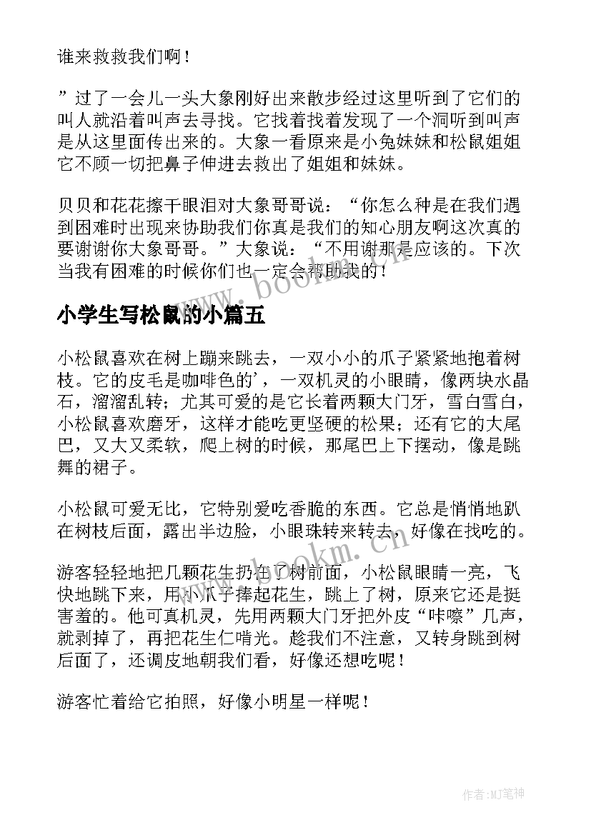 小学生写松鼠的小 松鼠小学日记(精选17篇)