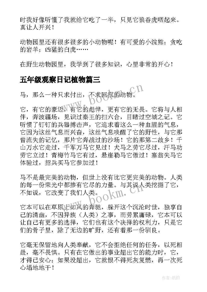 2023年五年级观察日记植物 刷子里五年级心得体会(优秀8篇)