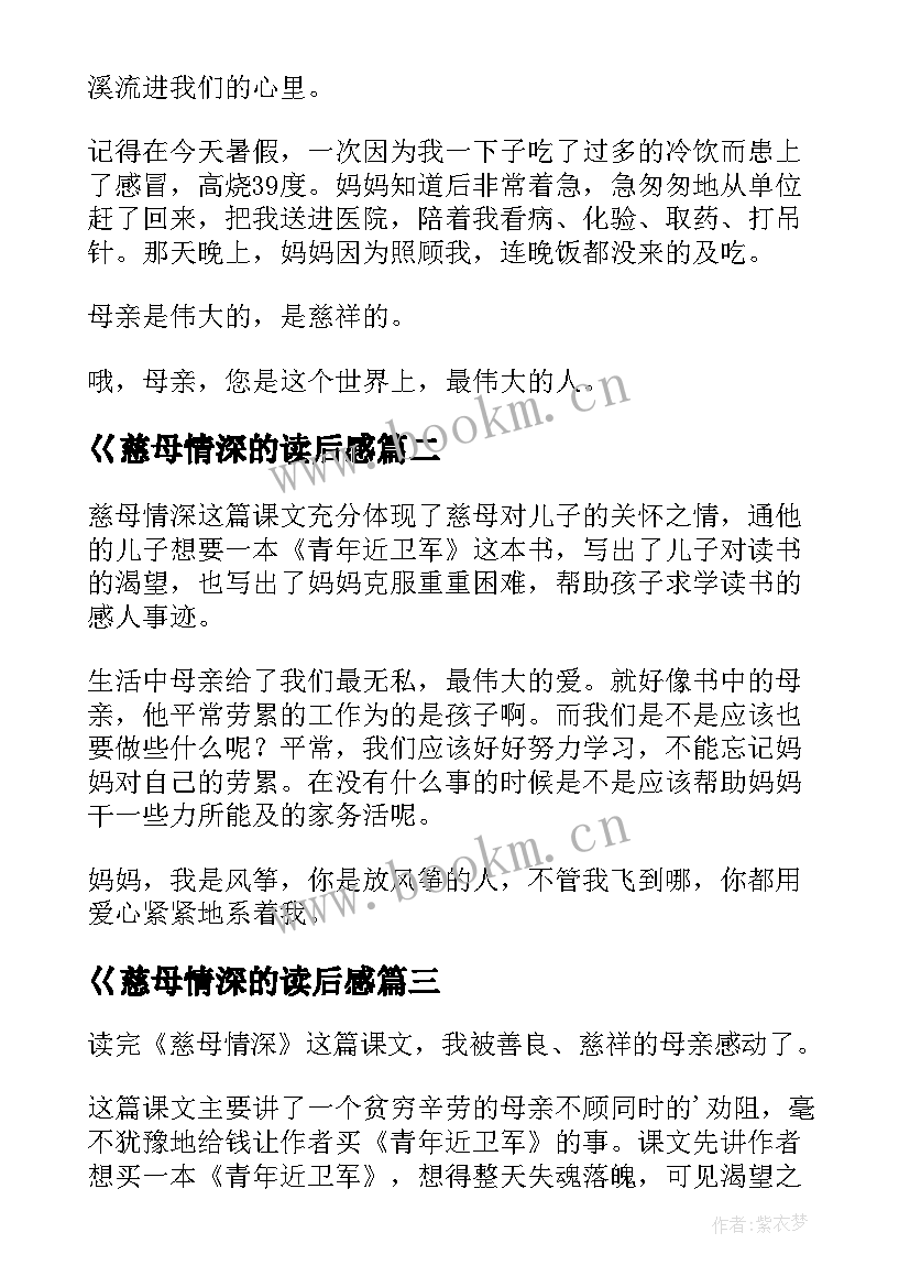 巜慈母情深的读后感 优选慈母情深读后感(优质8篇)