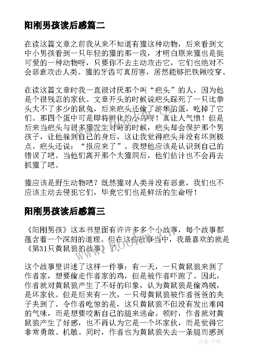 2023年阳刚男孩读后感(通用8篇)