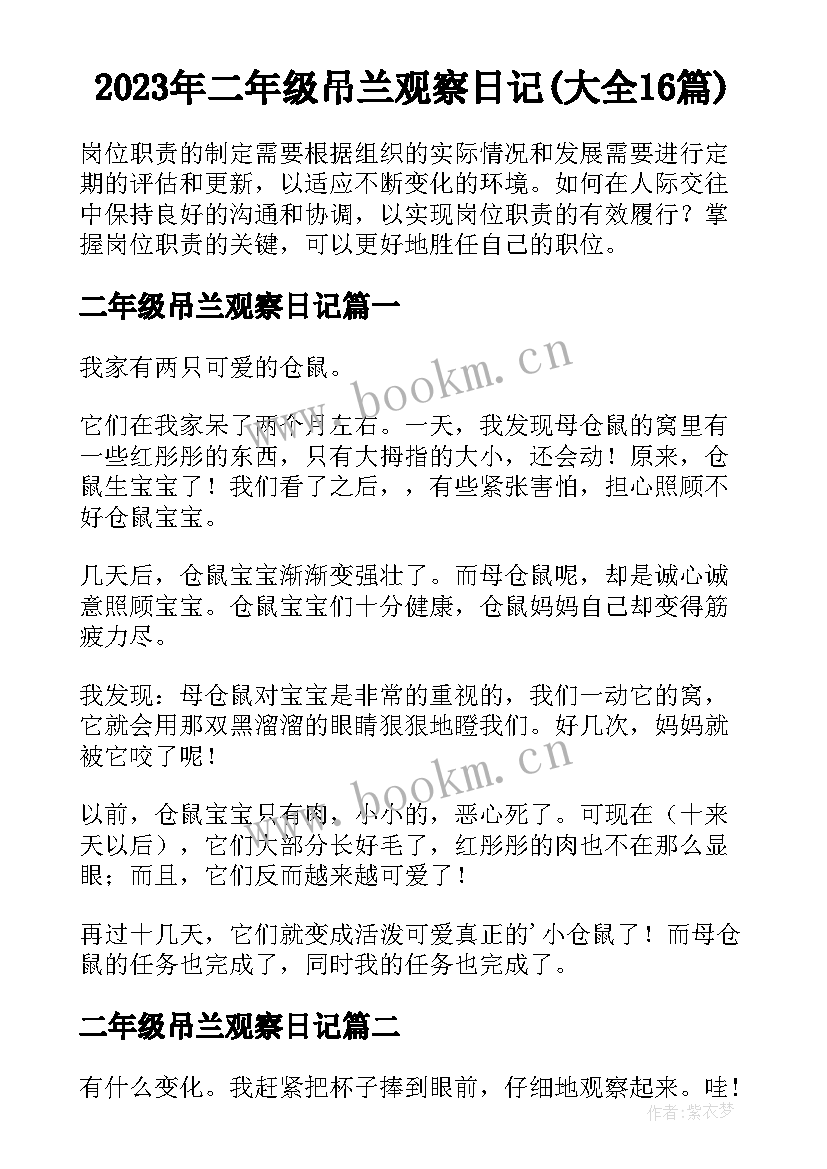 2023年二年级吊兰观察日记(大全16篇)