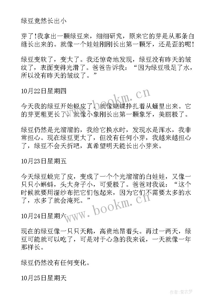 2023年二年级吊兰观察日记(大全16篇)