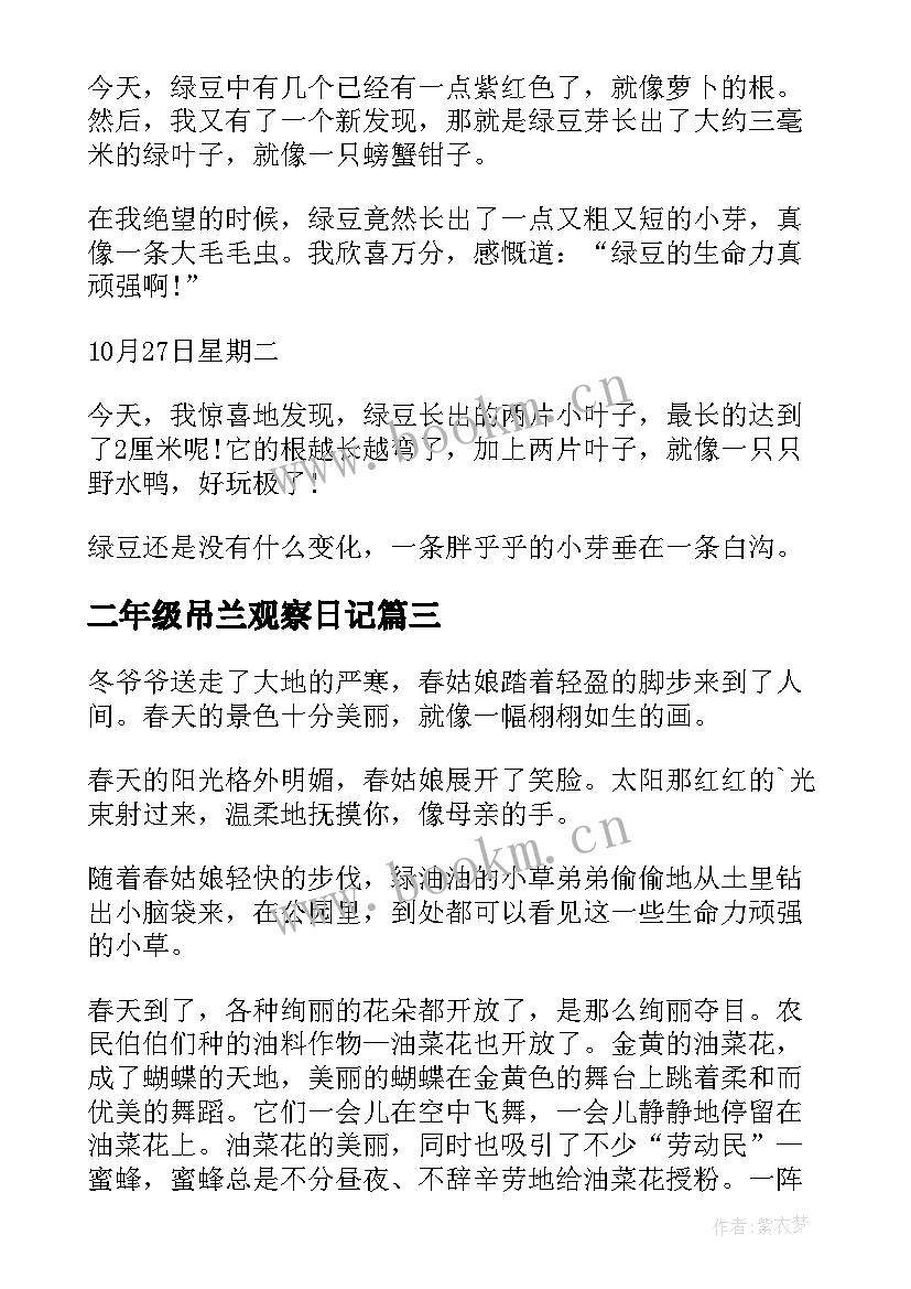 2023年二年级吊兰观察日记(大全16篇)