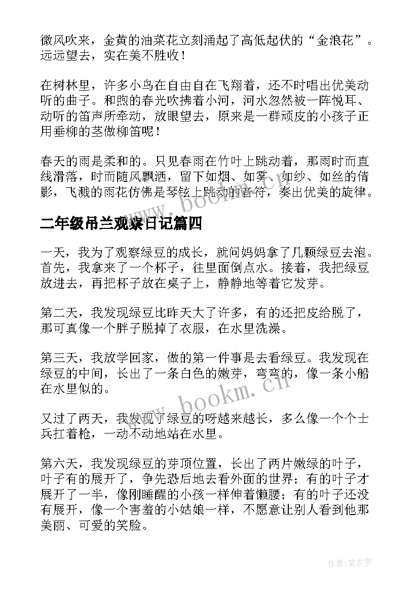 2023年二年级吊兰观察日记(大全16篇)