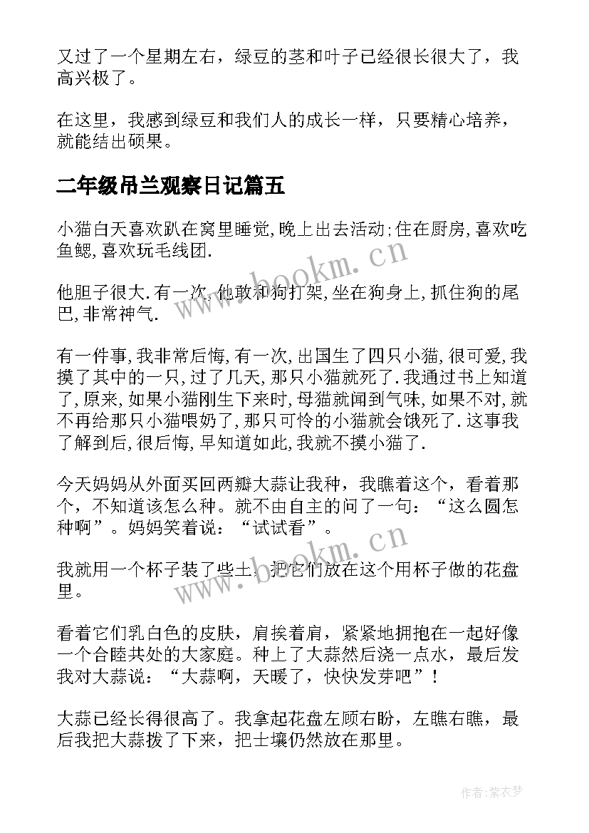 2023年二年级吊兰观察日记(大全16篇)