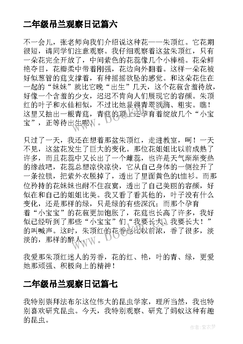 2023年二年级吊兰观察日记(大全16篇)