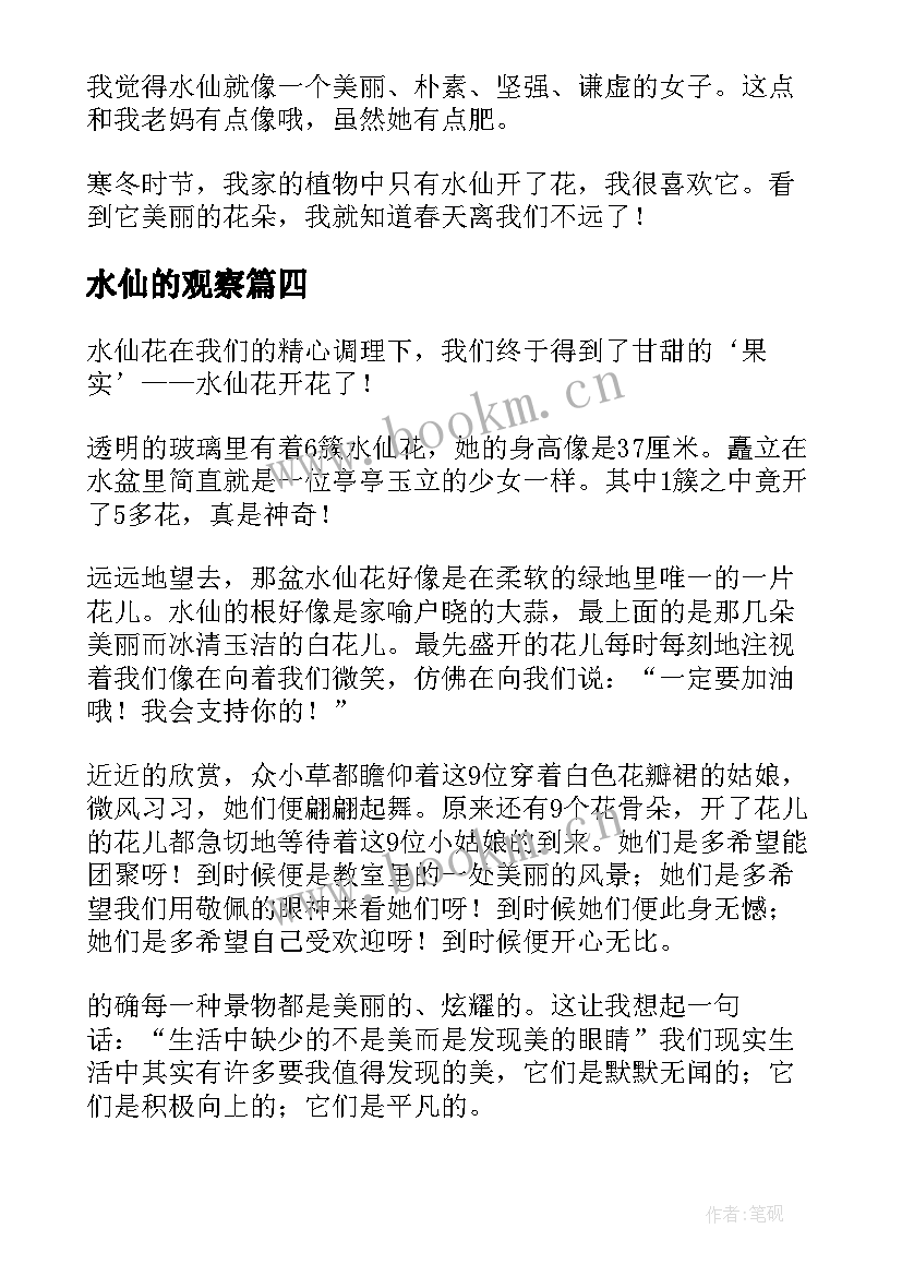 水仙的观察 水仙观察日记(实用14篇)