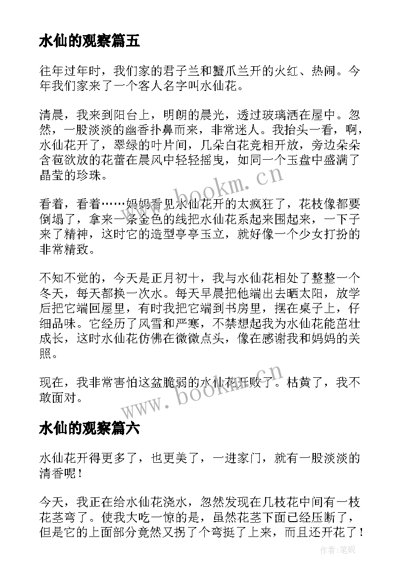 水仙的观察 水仙观察日记(实用14篇)