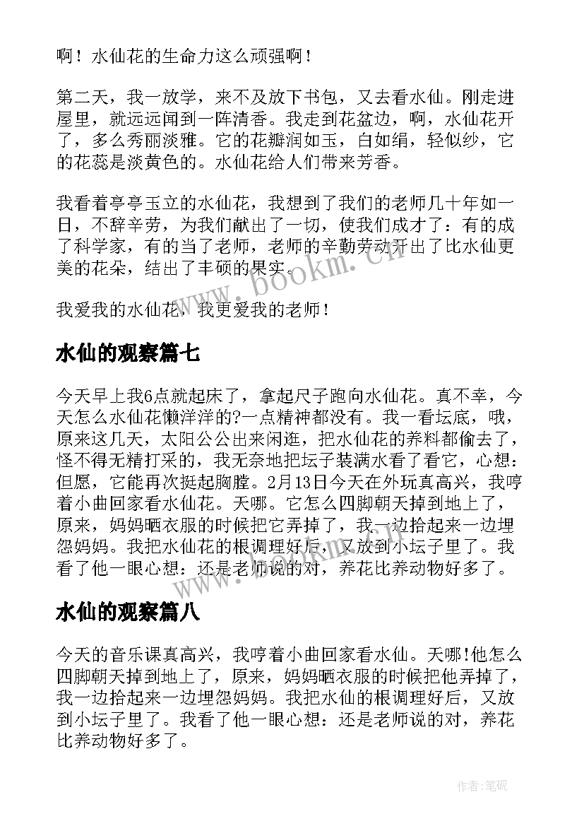 水仙的观察 水仙观察日记(实用14篇)