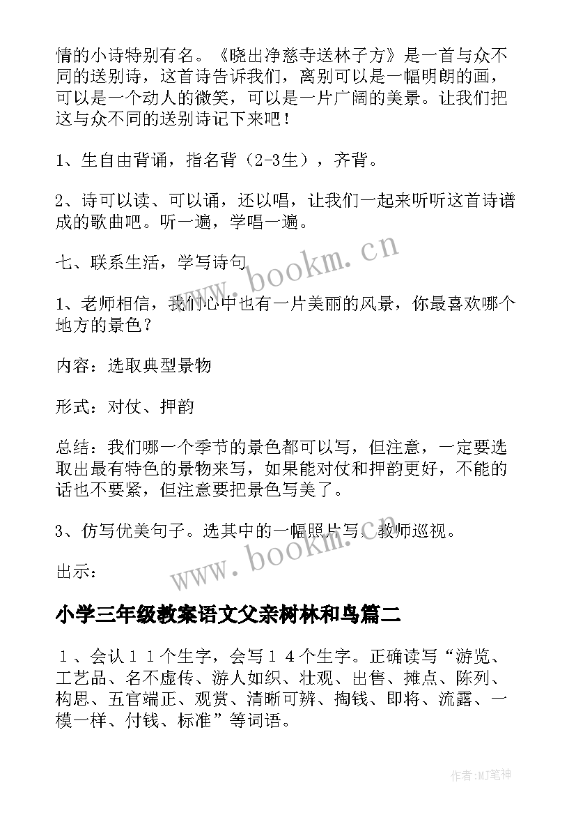 小学三年级教案语文父亲树林和鸟(汇总13篇)